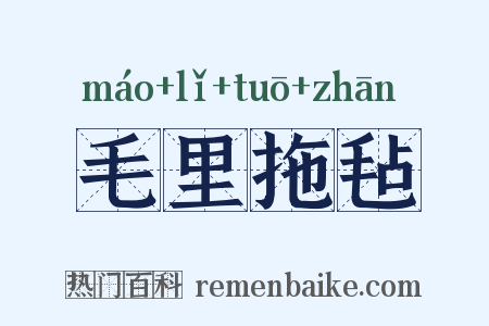 毛里拖毡是什么意思的图片